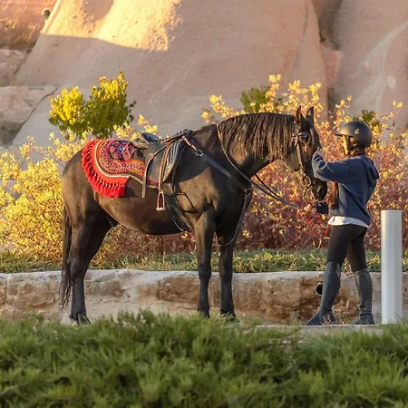 Sakura Cappadocia By Ajwa Hotel *