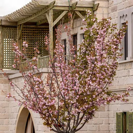 Sakura Cappadocia By Ajwa * Nevsehir